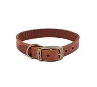 ANCOL Latigo - Collar elástico Flexible de Color castaño, Accesorio de Entrenamiento para Mascotas, 26-31 cm, Talla 2