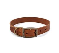 Ancol Latigo - Collar elástico Flexible para Perro, de Piel castaña, Accesorio de Entrenamiento para Mascotas, con Fijaciones de Oro Envejecido, Suave y Resistente, tamaño 5-39-48 cm