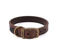 Ancol Latigo - Collar Flexible y elástico para Perro de Piel Havana, Accesorio de Entrenamiento para Mascotas con Fijaciones Doradas Antiguas, Suave y Resistente, tamaño 1-20-26 cm