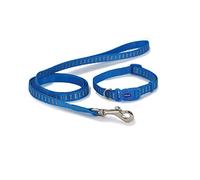 Ancol Small Bite - Collar Reflectante y Correa para Perros pequeños y Cachorros, diseño de Huesos Azules