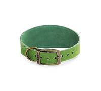Ancol Timberwolf - Collar de Galgo de Piel, Color Verde, 34-43 cm