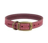 Ancol Timberwolf - Collar de Perro de Cuero de Primera Calidad, Accesorio cómodo y Duradero para Entrenamiento de Mascotas, Cuero de Brida de Frambuesa, Suave, Flexible, tratado al Agua, 55-63 cm