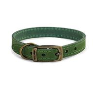 Ancol Timberwolf - Collar de Piel (39-48 cm), Color Verde