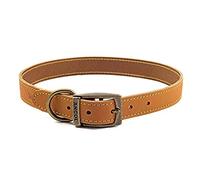 Ancol Timberwolf - Collar de Perro de Cuero Duradero y cómodo para Mascotas, Accesorio de Entrenamiento para Mascotas, 55-63 cm, Talla 8