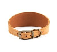 Ancol Timberwolf - Collar de Perro de Cuero para Galgo en Mostaza, Cuero de Grano Superior, cómodo y Duradero, Accesorio de Entrenamiento para Mascotas, 34-43 cm