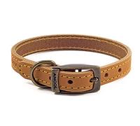 Ancol Timberwolf - Collar de Piel para Perro, cómodo y Duradero, Color Mostaza, Accesorio de Entrenamiento para Mascotas, 50-59 cm, Talla 7
