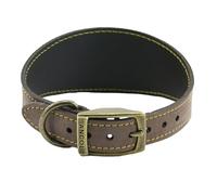 Ancol Timberwolf - Collar de Piel para Perro de Galgo en Sable - Cuero de Brida de Grano Superior, cómodo y Duradero, Accesorio de Entrenamiento para Mascotas, 34-43 cm