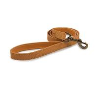 Ancol Timberwolf Correa de Piel para Perro, Mostaza