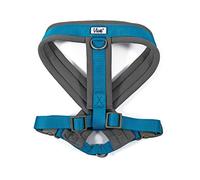 Ancol Viva - Arnés Acolchado para Perro, Color Azul, Microforro Polar, Reflectante, Ajustable, Resistente a la Intemperie, Accesorio de Entrenamiento para Mascotas, Talla M, 41-53 cm