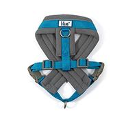 Ancol Viva - Arnés Acolchado para Perro, Color Azul, Microforro Polar, Reflectante, Ajustable, Resistente a la Intemperie, Accesorio de Entrenamiento para Mascotas, L 52-71 cm