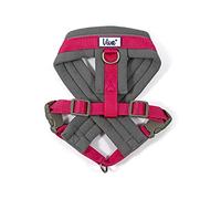 Ancol Viva - Arnés Acolchado para Perro, Color Rosa, Microforro Polar, Reflectante, Ajustable, Resistente a la Intemperie, Accesorio de Entrenamiento para Mascotas, L 52-71 cm
