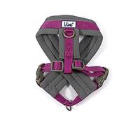 Ancol Viva - Arnés acolchado para perro, morado, microforro polar, reflectante, ajustable, resistente a la intemperie, accesorio de entrenamiento para mascotas, L 52-71 cm