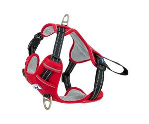 Ancol Viva - Arnés para Perro de Ejercicio y Viaje en Color Rojo, cómodo Accesorio para Mascotas con Pecho Acolchado y 2 Clips para Correa, tamaño Mediano, 45-65 cm
