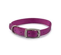 Ancol Viva - Collar de Perro cómodo y Duradero Resistente a la Intemperie con Hebilla de satén y Lazo para identificación, tamaño 1 20-26 cm/XXS