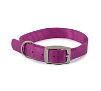 Ancol Viva Collar Ligero con Hebilla Morado, tamaño 3 para Adaptarse a 28-36 cm, Resistente a la Intemperie