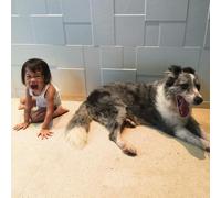 And So I Watch You From Afar - The Endless Shimmering