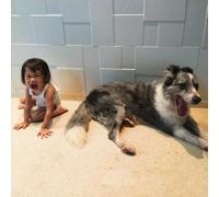 And So I Watch You From Afar The Endless Shimmering (Vinyl) (Importación USA)