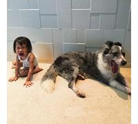 And So I Watch You From Afar The Endless Shimmering (Vinyl) (Importación USA)