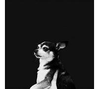 And the Kids - When This Life Is Over [Vinilo]