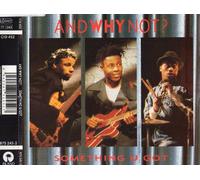 AND WHY NOT - SOMETHING U GOT CD UK ISLAND 1990