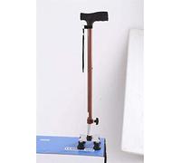 Andador para ancianos, Rollator Mobility Walker, Bastón for caminar -con pequeña base de 4 piernas -stick sencillo de caminata sencillo -anti -esquidenina de acero inoxidable de acero inoxidable de ac