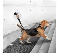 Andador Trasero para Perros, Arnés para Patas Traseras, Ayuda para Movilidad de Perros, Apoyo para Enfermos y Mayores, Promueve la Movilidad (Negro)