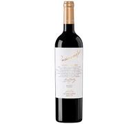 ANDELUNA, Pasionado Cabernet Franc, Argentina/Mendoza (caja de 6x750ml), VINO TINTO