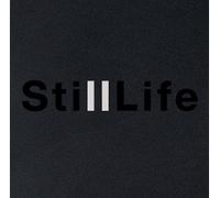 Anders Koppel - Still Life