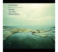 Andersen,Arild - Molde Concert