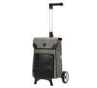 Andersen Shopper Unus Shopper Fun Elik Carro de la compra 48 cm gris