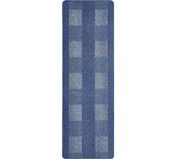 andiamo Dalia - Alfombra de Pasillo Resistente de Polipropileno, fácil de Limpiar y Resistente a Las Manchas, 67 x 200 cm, Color Azul Claro