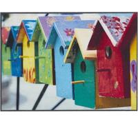 andiamo Felpudo Moderno con Parte Trasera Antideslizante - Felpudo Exterior para la Entrada de la casa - Felpudo para Puerta 40 x 60 cm Casas de pájaros