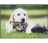 andiamo Felpudo Moderno con Parte Trasera Antideslizante - Felpudo Exterior para la Entrada de la casa - Felpudo para Puerta 40 x 60 cm Perro y Gato