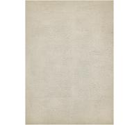 andiamo San Paolo - Alfombra moderna y elegante de pelo largo para salón o dormitorio, 100% poliéster, altura de pelo de aprox. 27 mm, adecuada para calefacción por suelo radiante, 160 x 230 cm, color