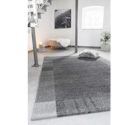 andiamo Webteppich Sant Jordi Bordüre Modern Kurzflor Polypropylen Teppich Color Gris, 80 x 150 cm