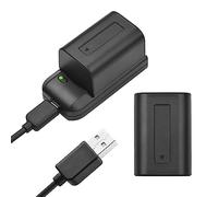 Andoer Cargador de batería NP-FV5 con luz indicadora LED + 2 baterías NP-FV5 Plus 3.7V 1000mAh con Cable de Carga USB