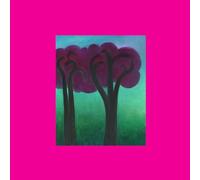 Andre Ethier - Croak In The Weeds [Vinilo]