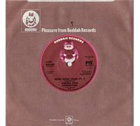 Andrea True Connection - More, More, More - Solid