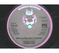 Andrea True Connection What's Your Name What's Your Number 7" Buddah BDS467 EX 1977