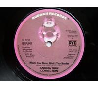 ANDREA TRUE CONNECTION - WHAT'S YOUR NAME WHAT'S YOUR NUMBER 7 INCH (7" VINYL 45) UK BUDDAH 1977
