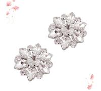 ANDRESLAD Clips de Cristal para Zapatos Gemas de Imitación, Hebillas Metálicas Plateadas, Delicados Accesorios para Mujer, Decoración para Boda y Fiesta,