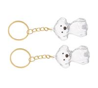 ANDRESLAD Llavero Conmemorativo para Mascotas 2 Unidades Estuche Transparente para Guardar Pelo de Perro Recuerdo Compacto y Ligero para Conservar Memoria de Perros Accesorio Práctico