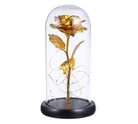 ANDRESLAD Rosa Presente Rosas Rojas Flores Artificiales Vistoso Luces - Decoración romántica Detalle de Amor con Rosa lampara del Dia de San Valentin Rosa Flor de luz Rosa de plastico