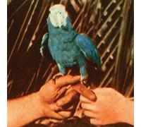 Andrew Bird - Are You Serious