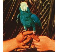 Andrew Bird - Are You Serious [Vinilo]
