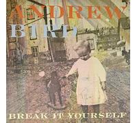 Andrew Bird - Break It Yourself [Vinilo]