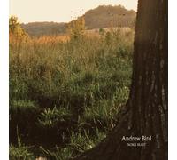 Andrew Bird Noble Beast (CD) (Importación USA)