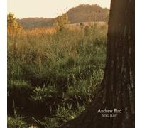 Andrew Bird Noble Beast (Vinyl) (Importación USA)