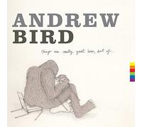 Andrew Bird - S Things Are Really Great Here