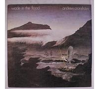 ANDREW CRONSHAW - Wade In The Flood